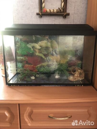 Аквариум