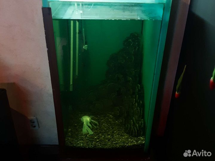 Аквариум