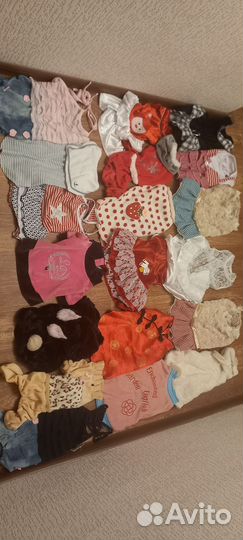 Одежда обувь для собак и кошек