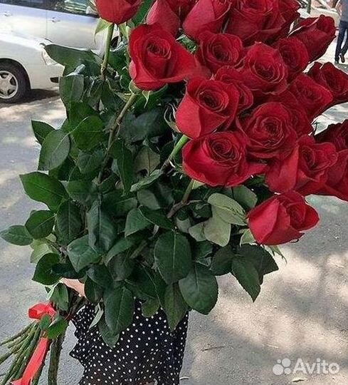 Высокие розы Гигантские розы Доставка цветов