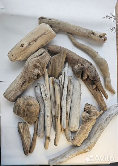 Дрифтвуд, плавун, коряги набор от 11 до 32 см