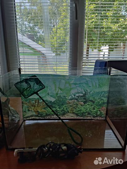 Аквариум