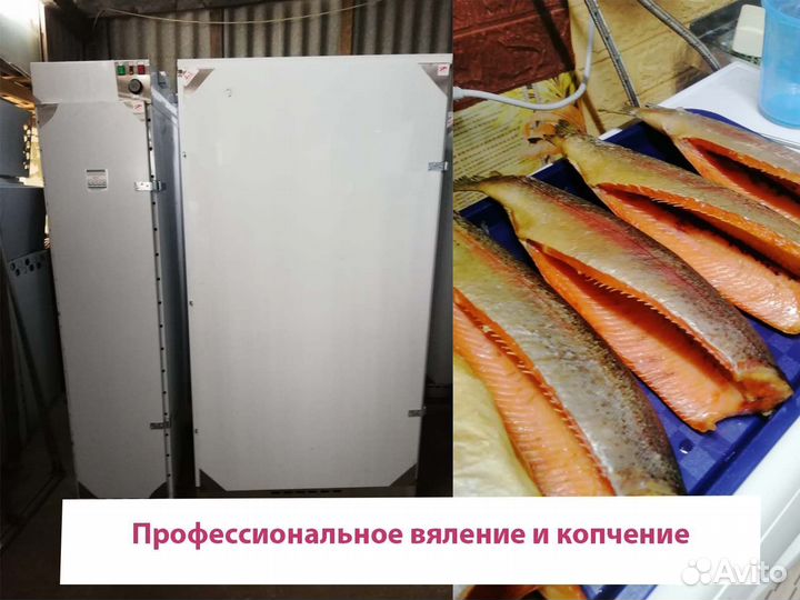 Коптильно-вялочный цех до 800 кг