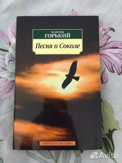Песня о соколе