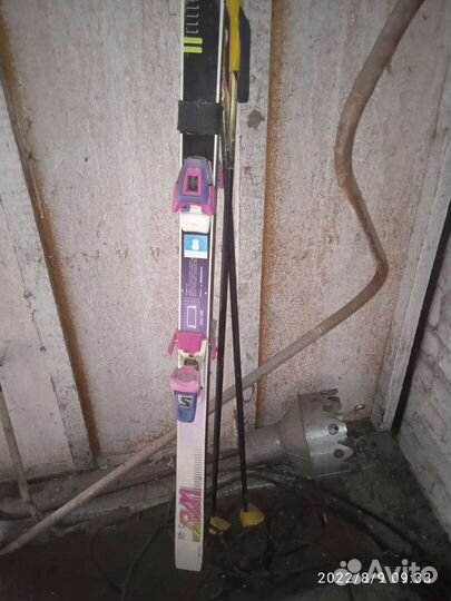 Горные лыжи