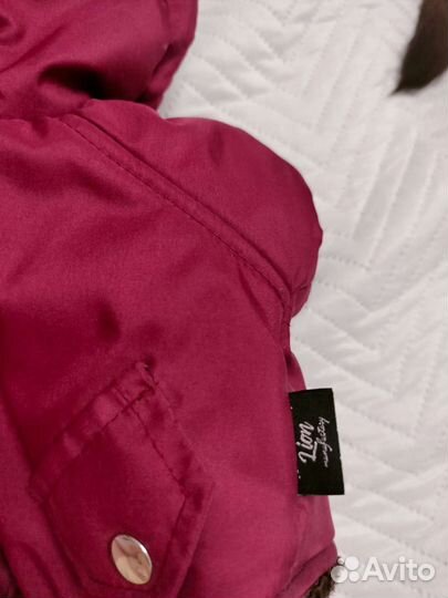 Курточка для маленькой собачки