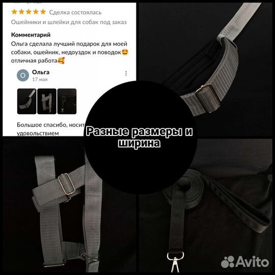 Ошейники и шлейки для собак под заказ