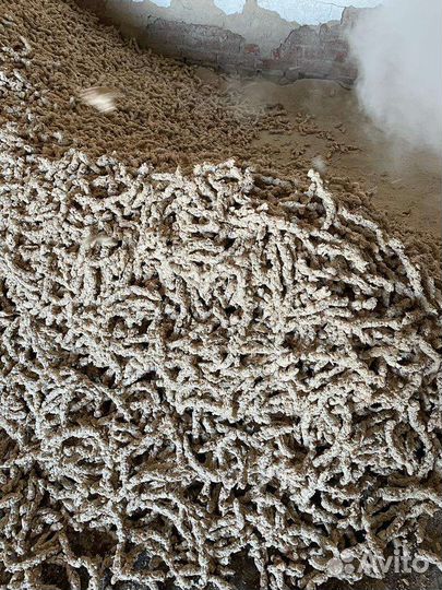 Экструдированный корм