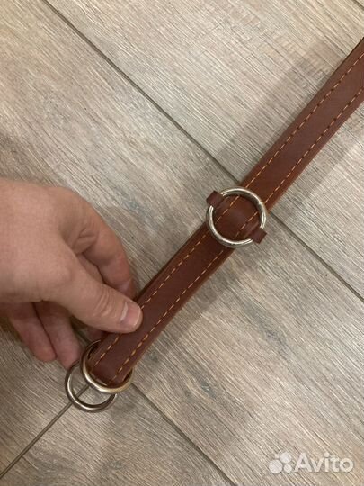 Ошейник для собак