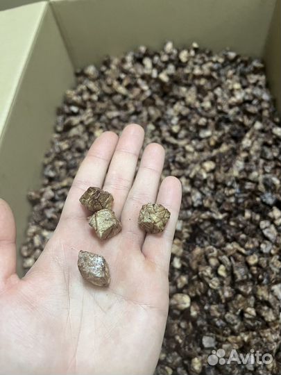 Сушеные лакомства для собак