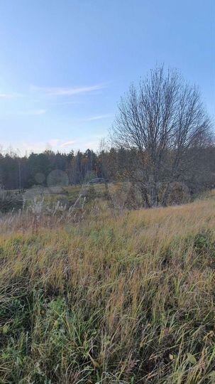 Участок 40 сот. (СНТ, ДНП)