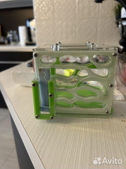 Муравьиная ферма