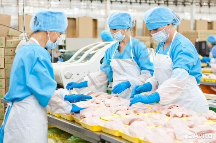 Фасовщик(ца/Шахты/Вахта/Питание 3 разовое