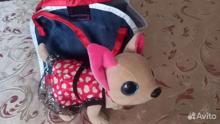 Собачка чичи лав