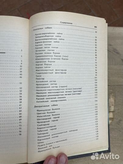 Книга Ваши домашние четвероногие друзья