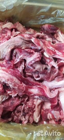 Корм для собак