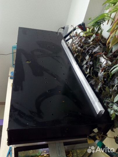 Аквариум 200 литров