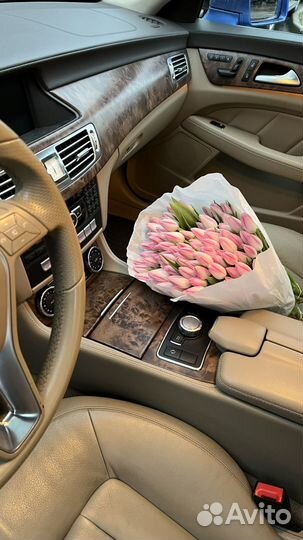 Букет из 101 тюльпана (розовый)