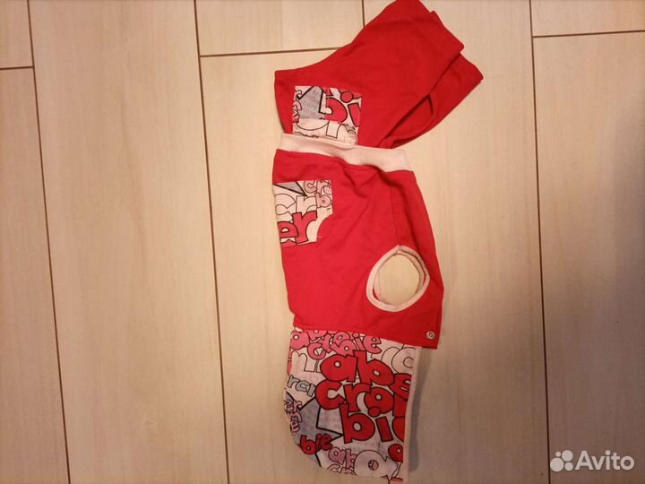 Одежда для собак