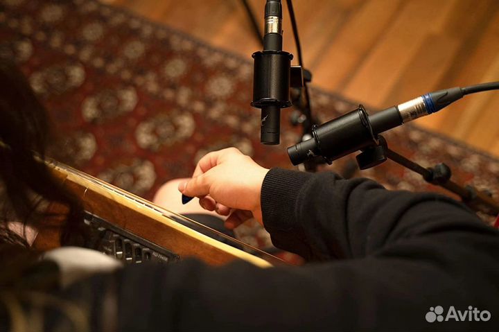 Микрофон Antelope Audio Edge Note