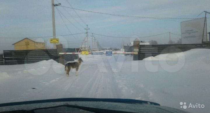 Участок 8 сот. (СНТ, ДНП)