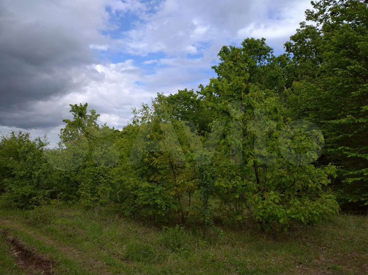 Участок 1,5 га (СНТ, ДНП)