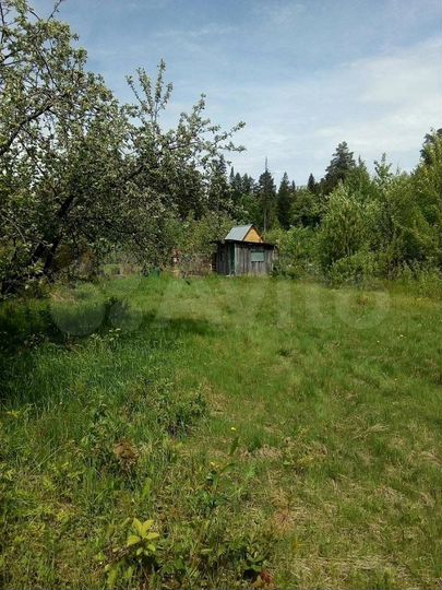 Участок 21 сот. (ИЖС)