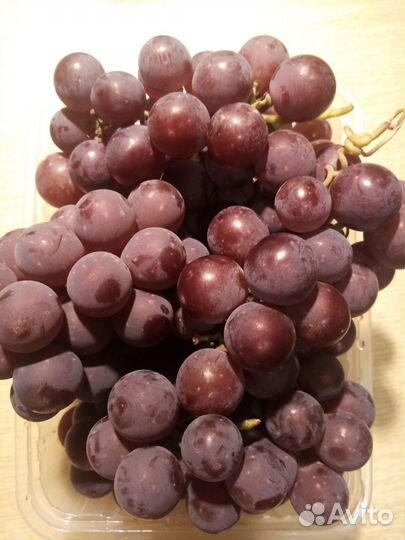 Виноград