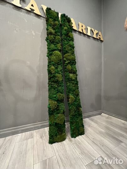 Панно из стабилизированного мха