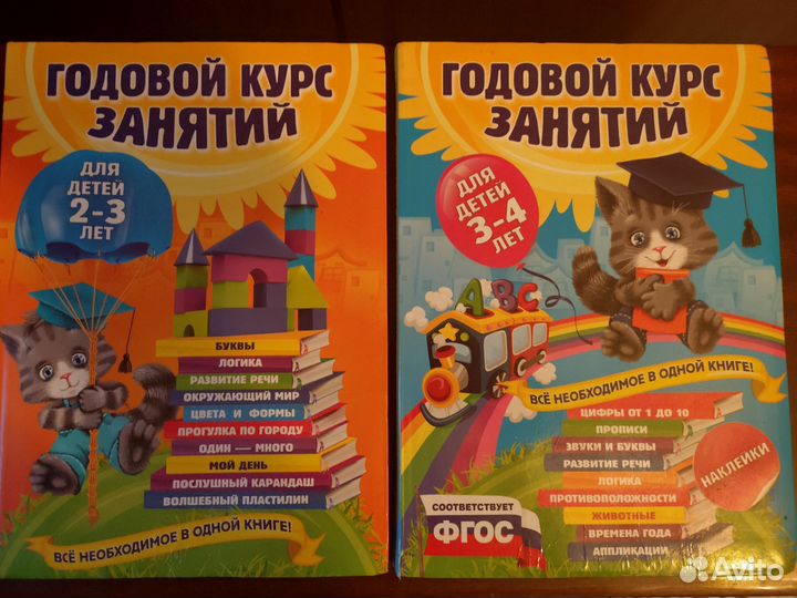 Годовой курс занятий для детей 2 3 и 3 4 лет