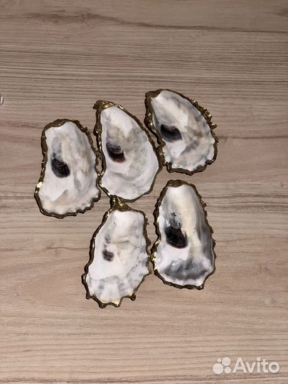 Створки устриц