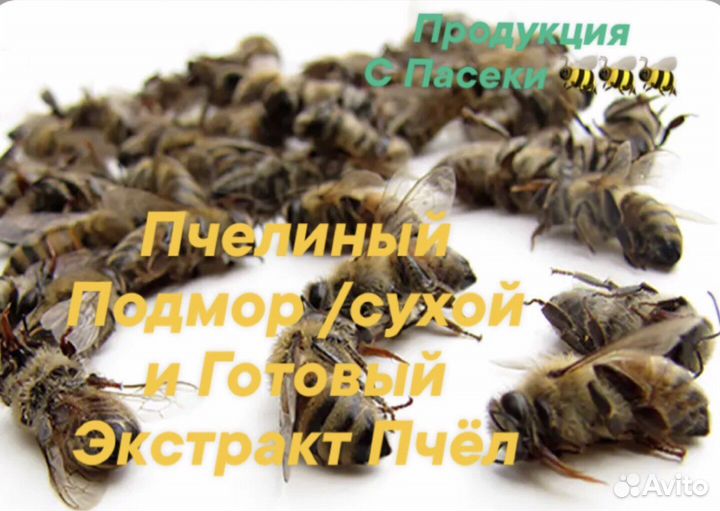Подмор Пчелиный/подмор пчёл