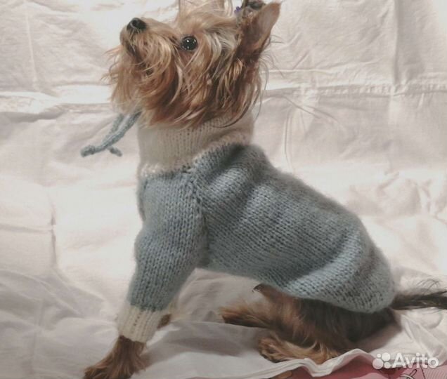 Одежда для маленьких собак