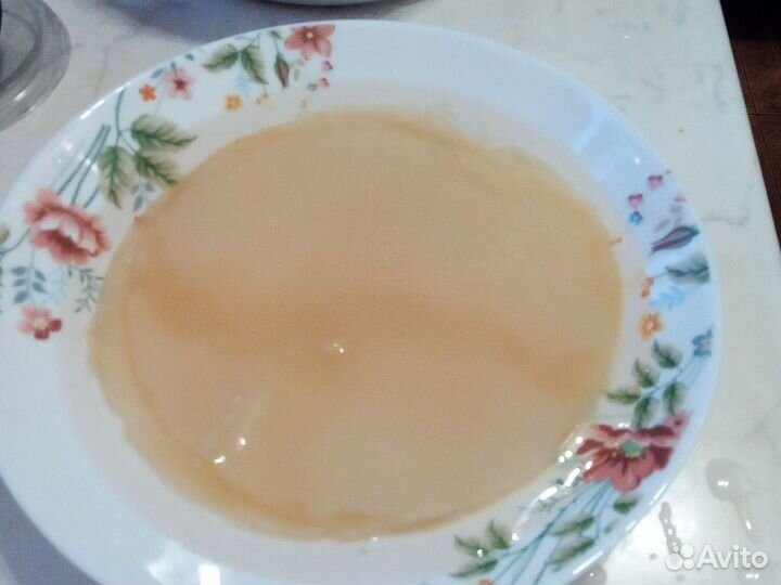 Чайный гриб бесплатно