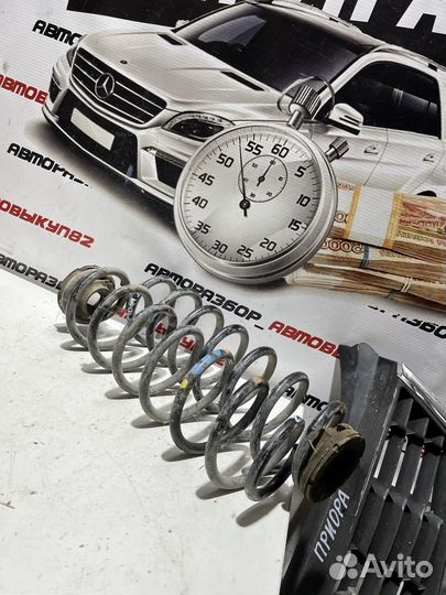 Пружина пружины задняя задние Skoda Fabia 2