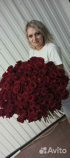 101 роза эквадор