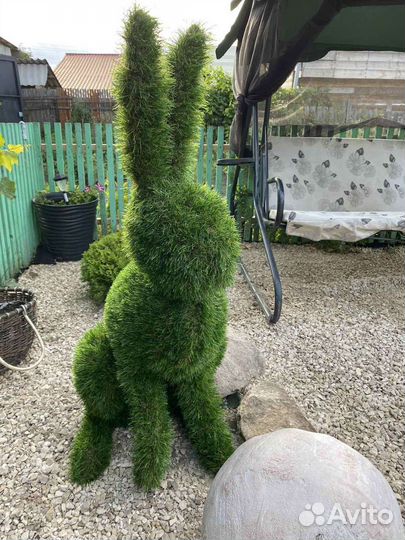 Топиарий Заяц