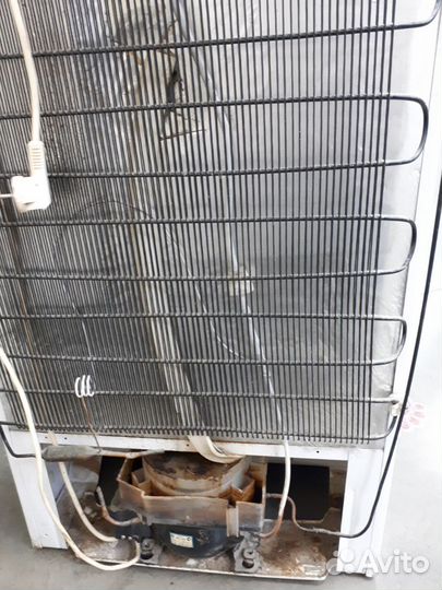 Холодильник Бирюса (20)