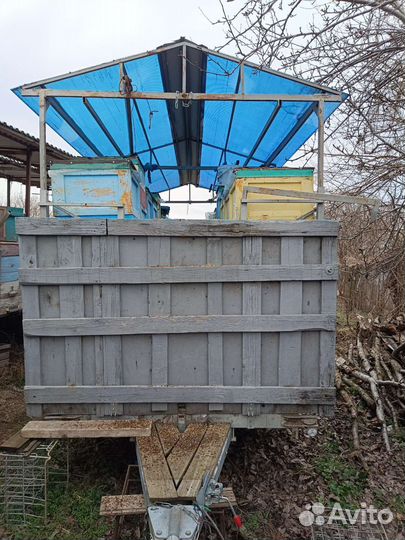 Продается пасека