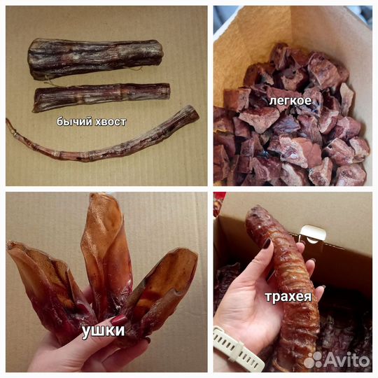 Лакомства для собак