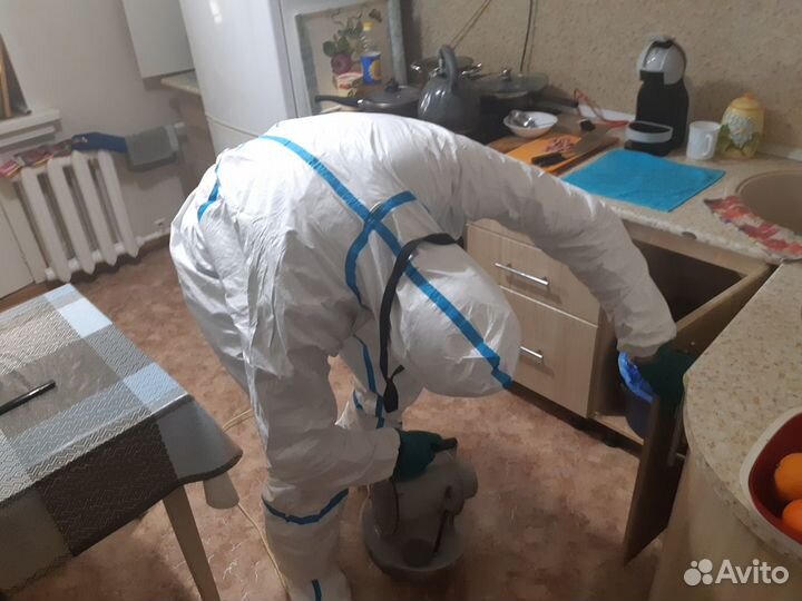 Уничтожение тараканов клопов блох комаров муравьев