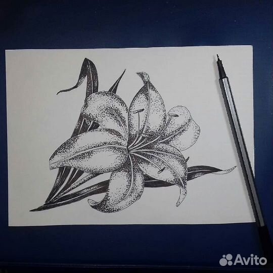 Рисунок графика
