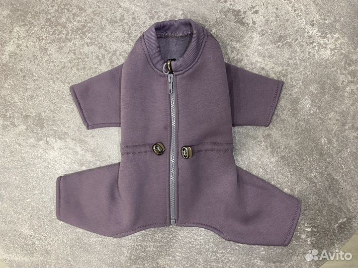 Одежда для собак