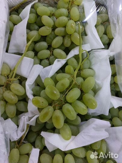 Виноград (Узбекистан)