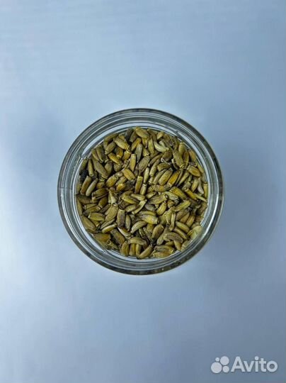 Расторопша / Семечкирасторопши