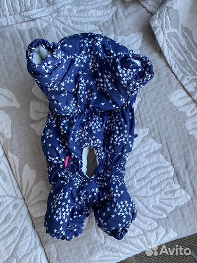 Костюм для собаки