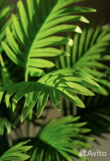 Искусственная пальма