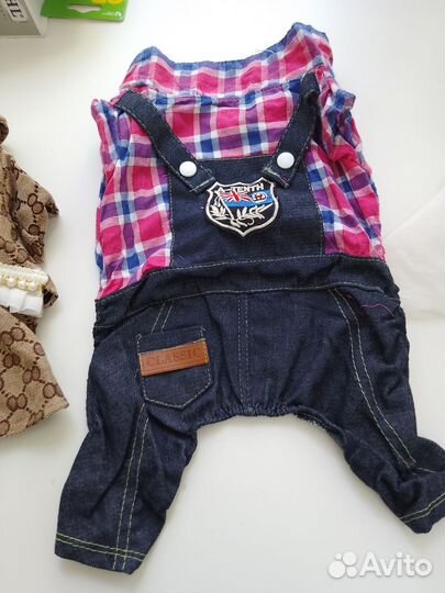 Одежда для собак мелких пород девочек