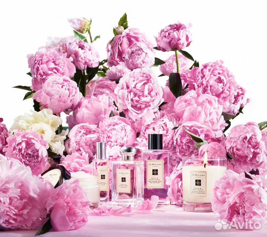 Пион парфюм фото Jo Malone Peony & Blush Suede, парфюм 50 мл купить в Новосибирске Личные вещи Ав