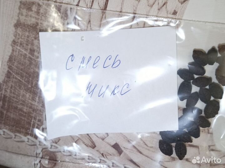 Семена мирабилиса-ночной красавицы